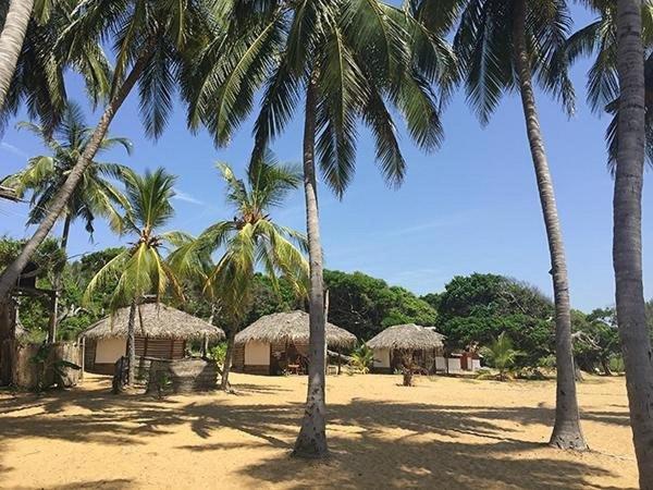 Upali Beach Surf Resort & Cafe Arugam Bay Luaran gambar